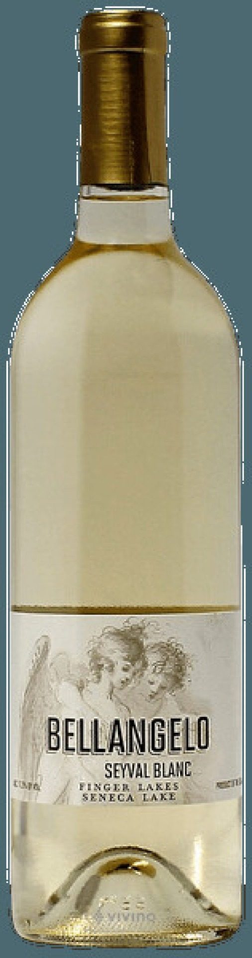 Fles Seyval Blanc van Villa Bellangelo