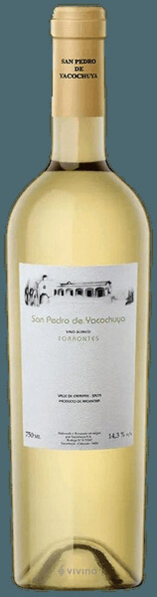 Etiket San Pedro de Yacochuya Torrontés